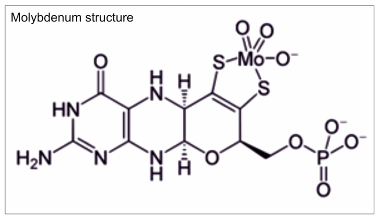 Figure 13