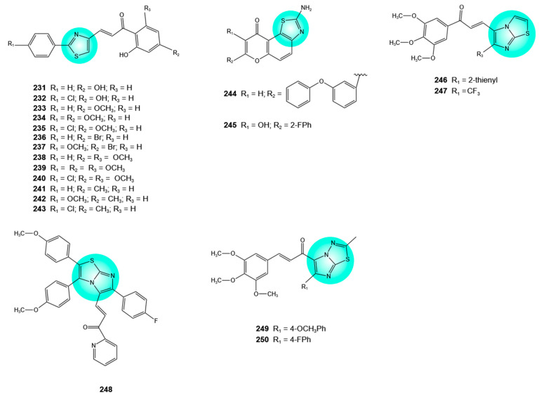Figure 13