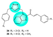 Figure 20