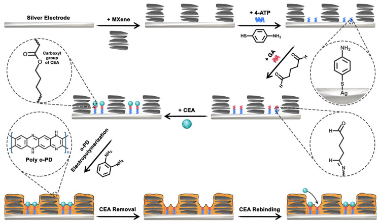 Figure 14