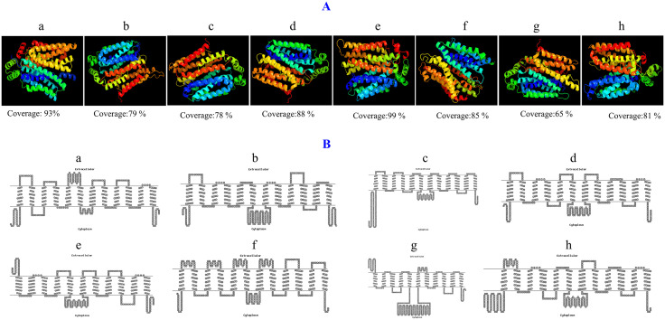 Fig 2