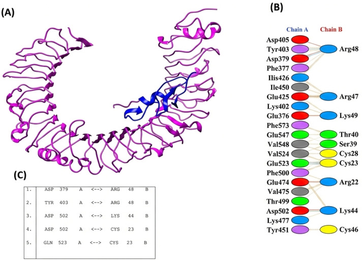 Fig 4