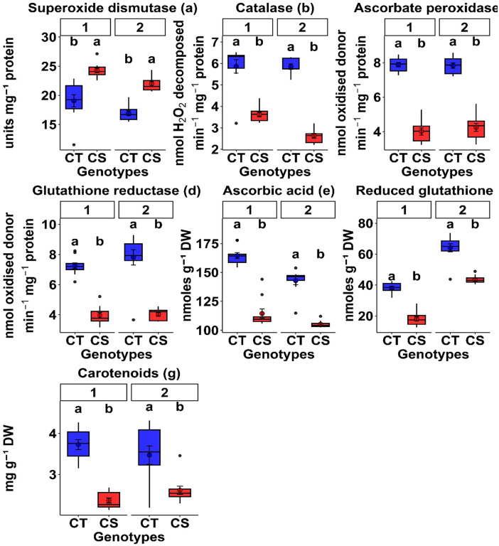 Fig 6