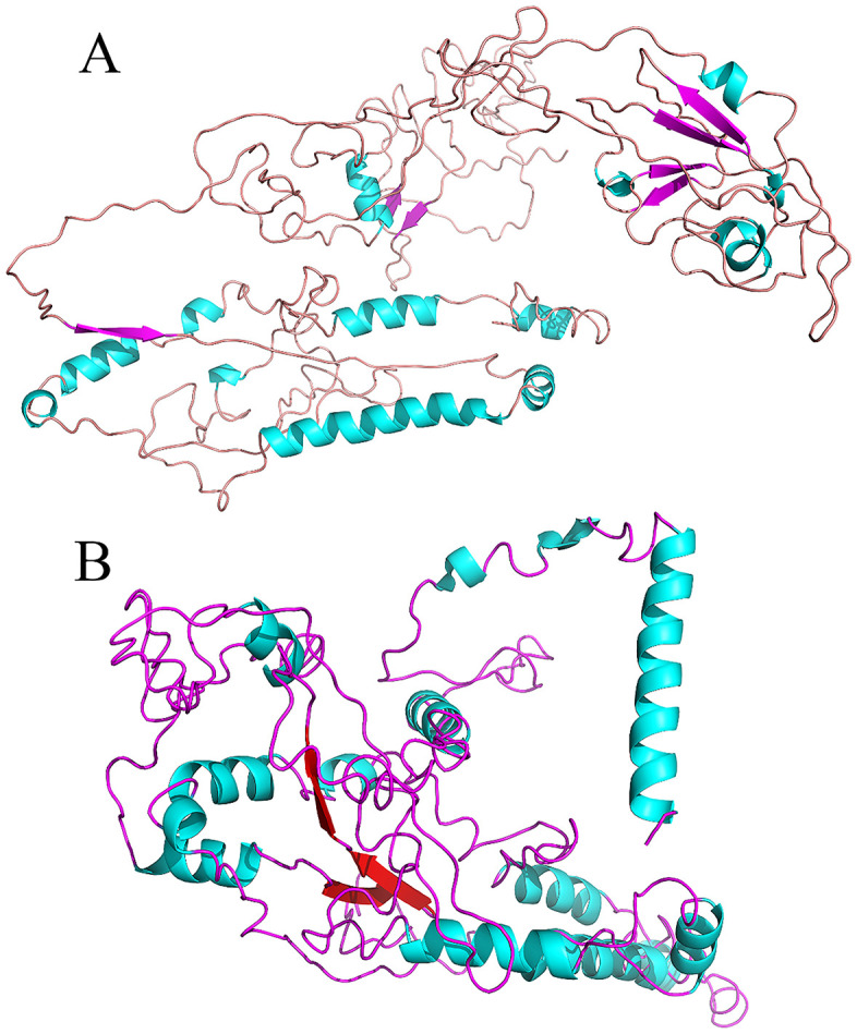Fig 5