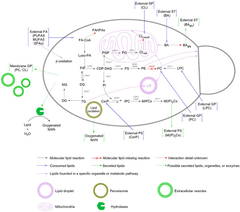 Figure 7