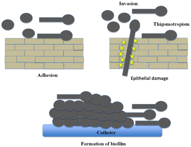 Figure 7