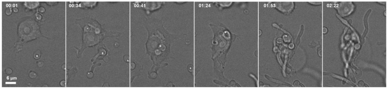 Figure 9
