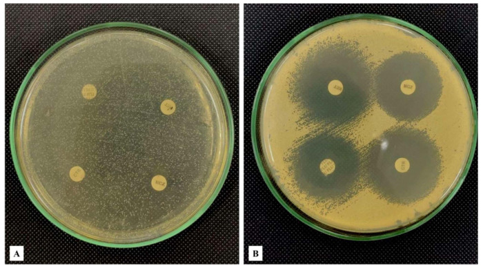 Figure 19