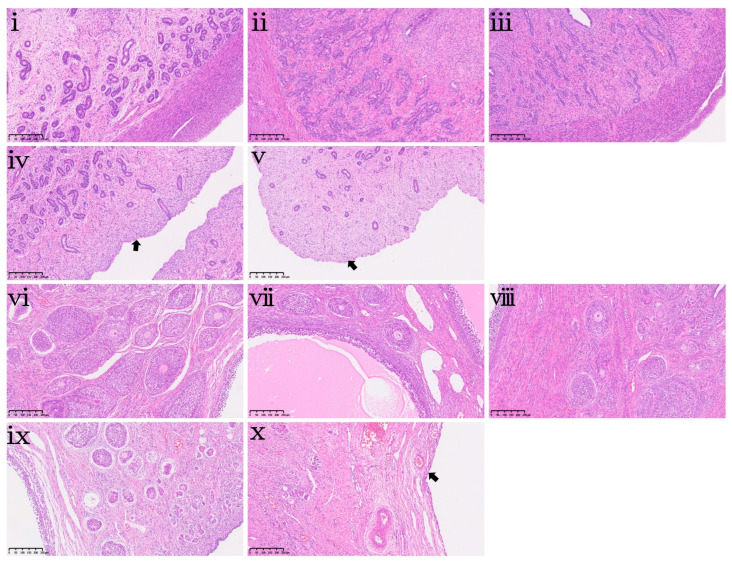 Figure 9