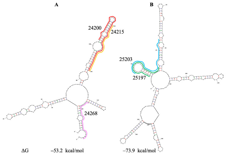 Figure 9