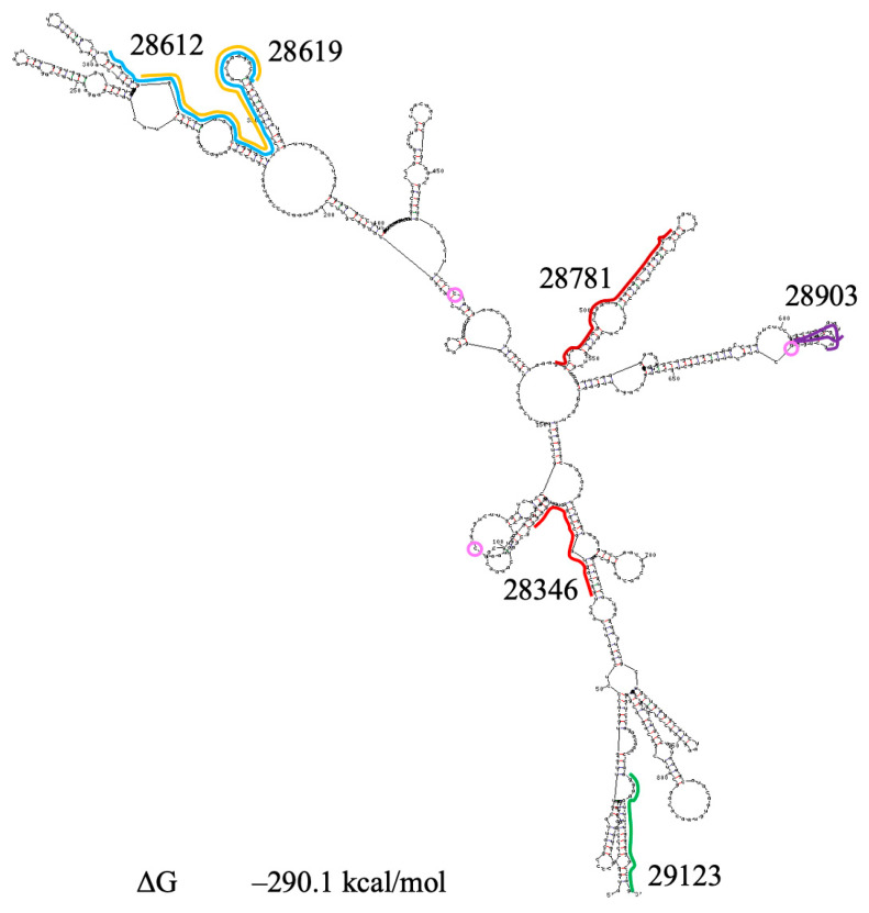 Figure 10
