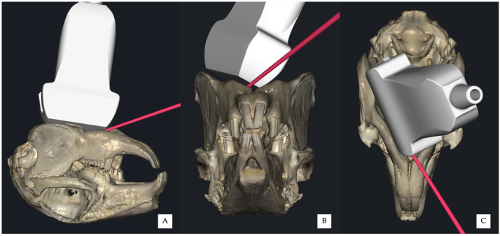 Figure 5