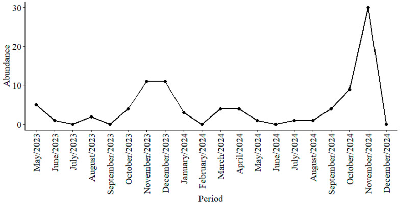 Figure 5