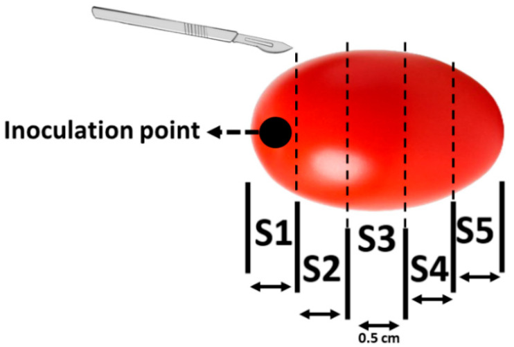 Figure 8