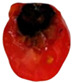 Figure 22