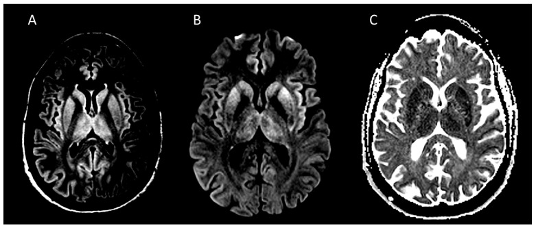 Figure 2