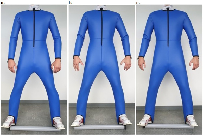 Figure 1