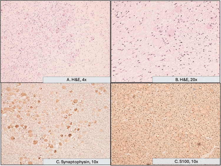 Figure 5