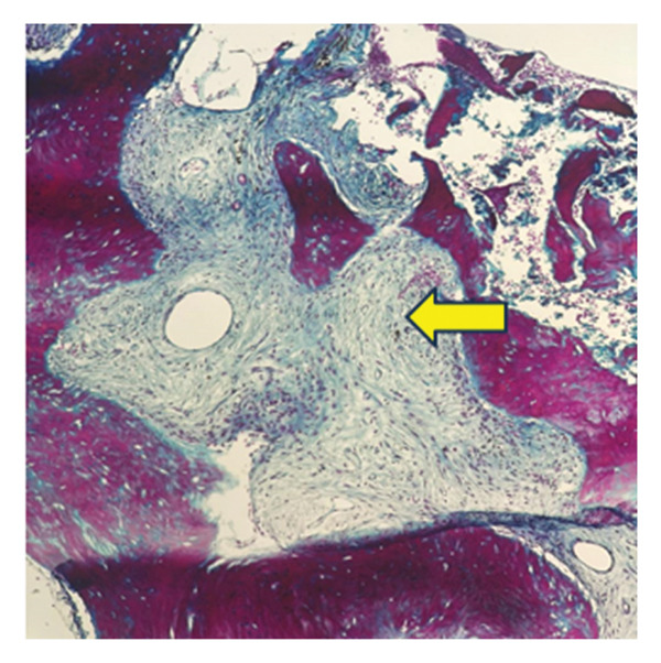 FIGURE 9
