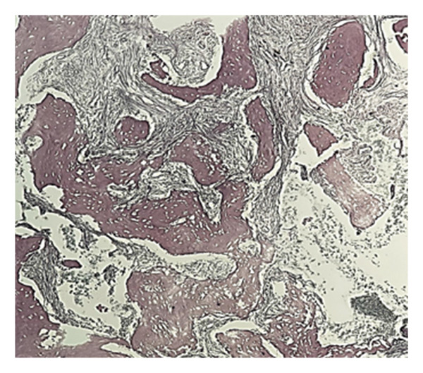 FIGURE 8