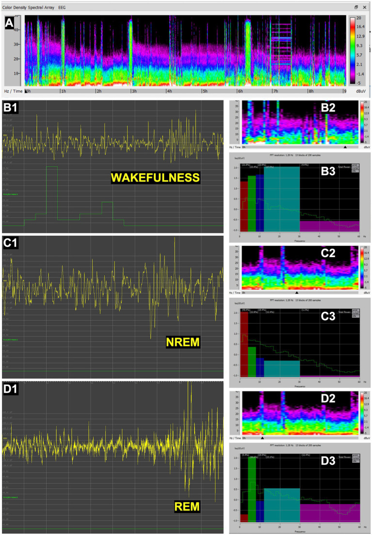 Figure 5