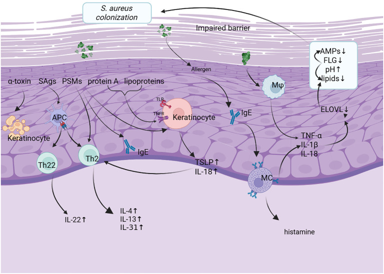 Figure 1
