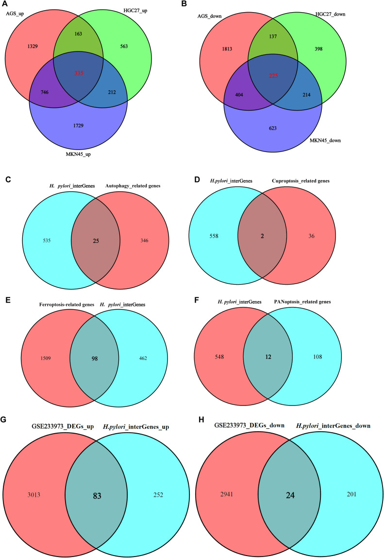 Figure 3