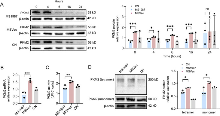 Figure 2
