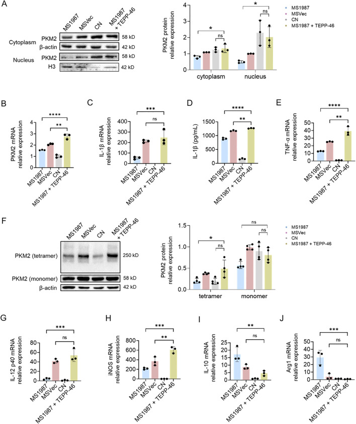 Figure 4