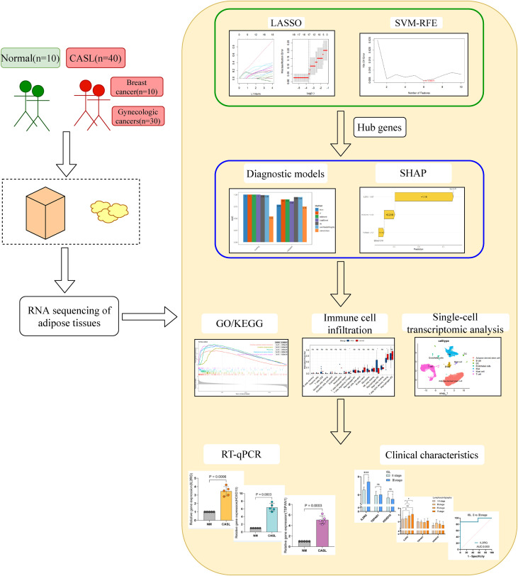 Figure 1