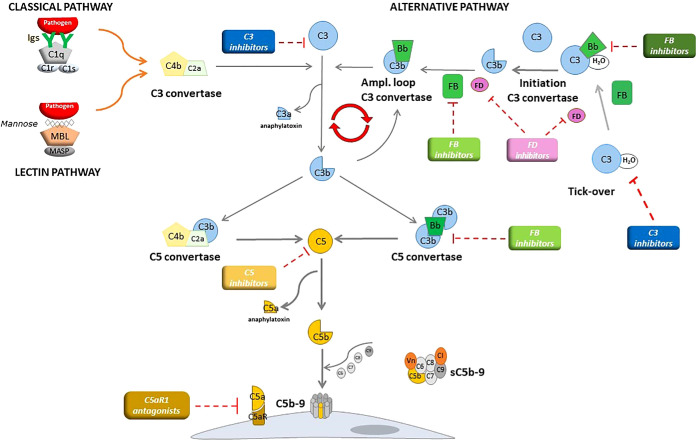 Figure 2