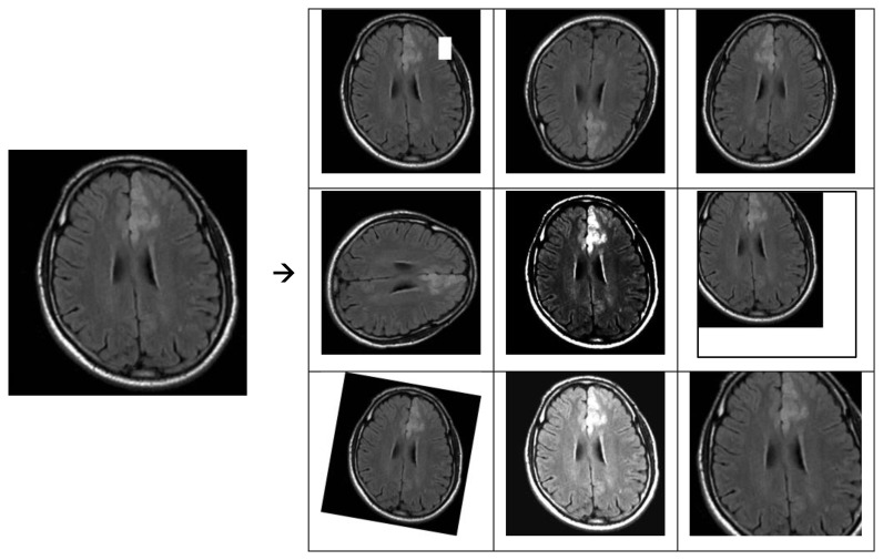 Figure 2