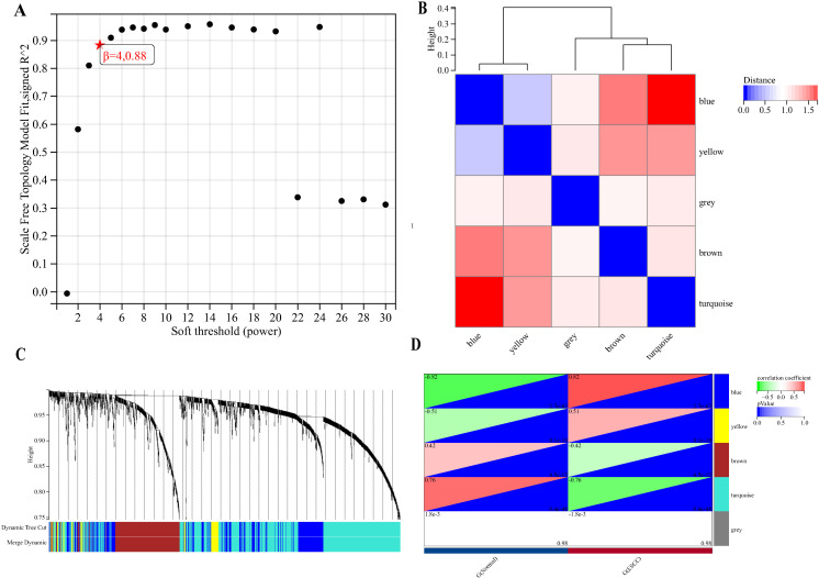 Figure 4
