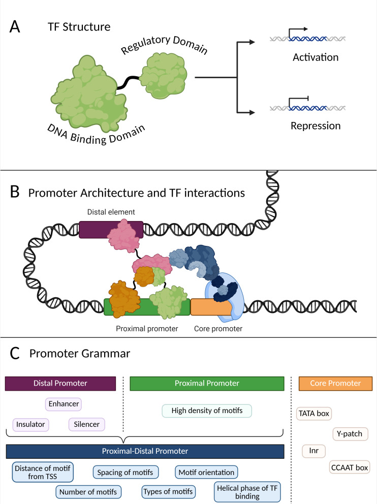 Figure 1