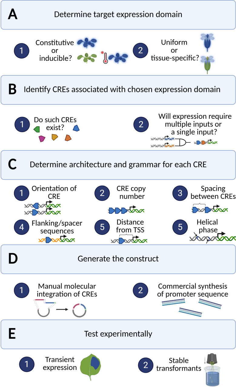 Figure 3