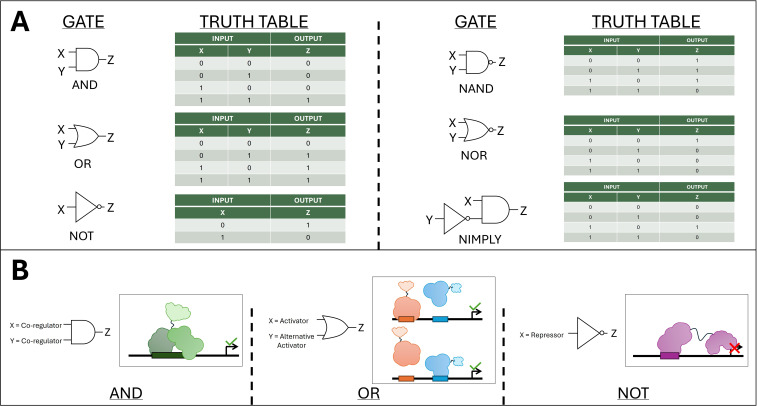 Figure 4
