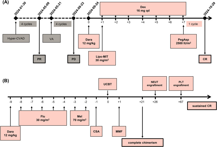 Figure 2