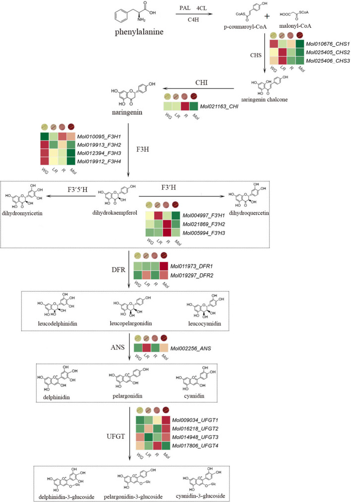 Figure 2