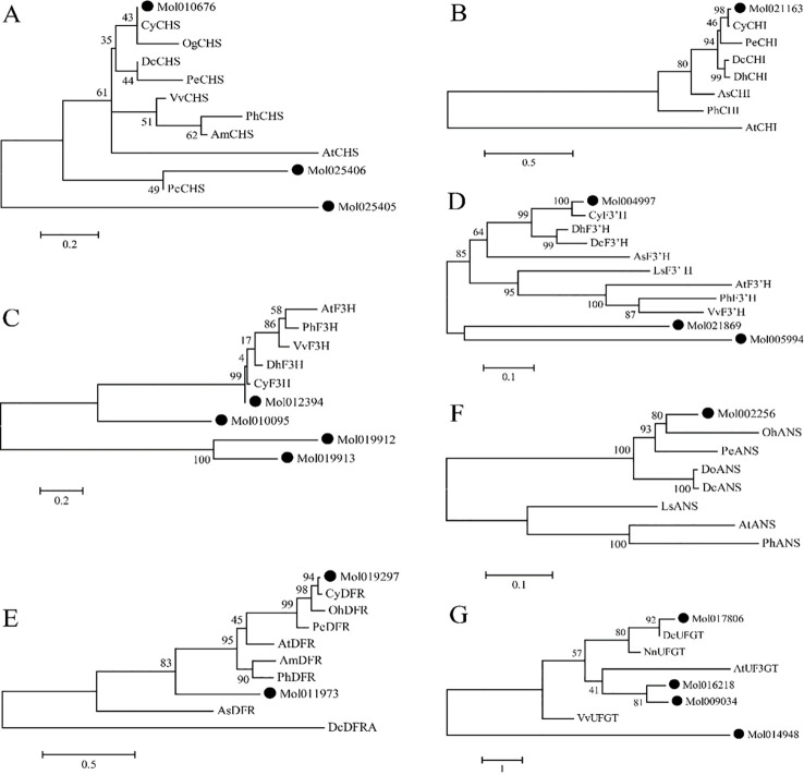 Figure 3