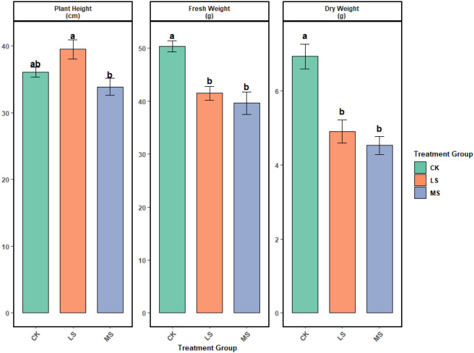 Figure 4