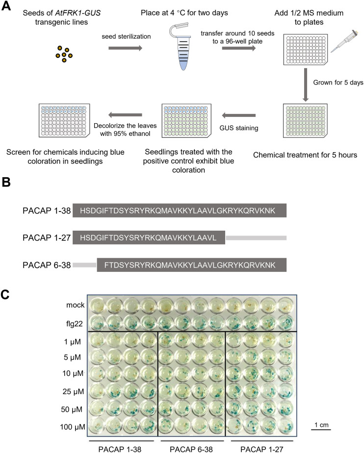 Figure 1