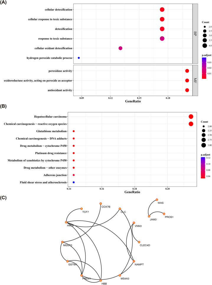 Figure 2