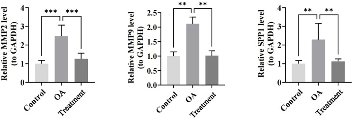Figure 11