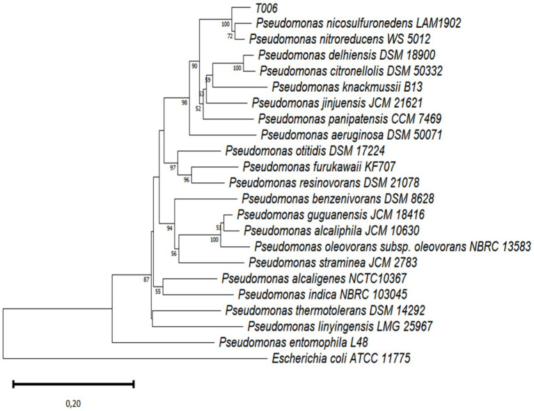 Figure 4