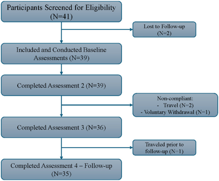 Figure 1