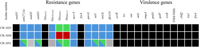 Figure 1