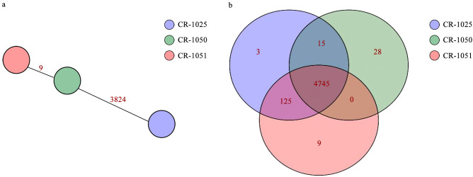 Figure 5
