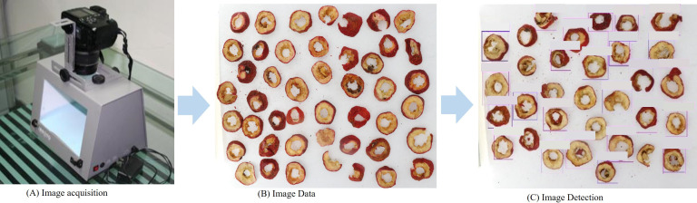 Figure 2
