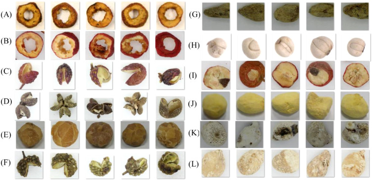 Figure 3