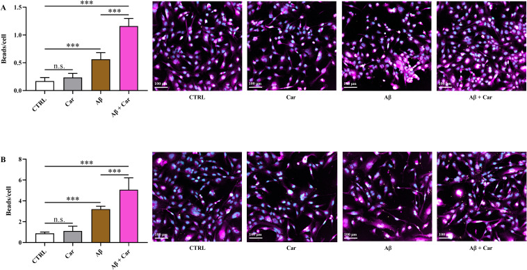 Figure 10